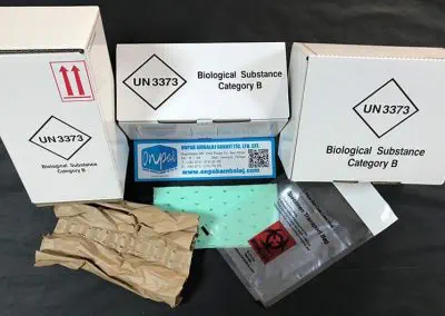 UN 3373 Dikey Yatay Set